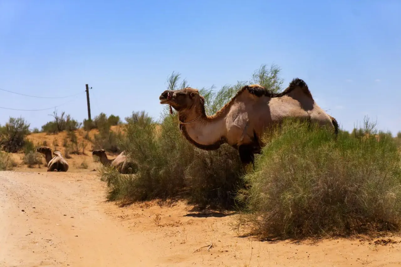 Главное изображение экскурсии