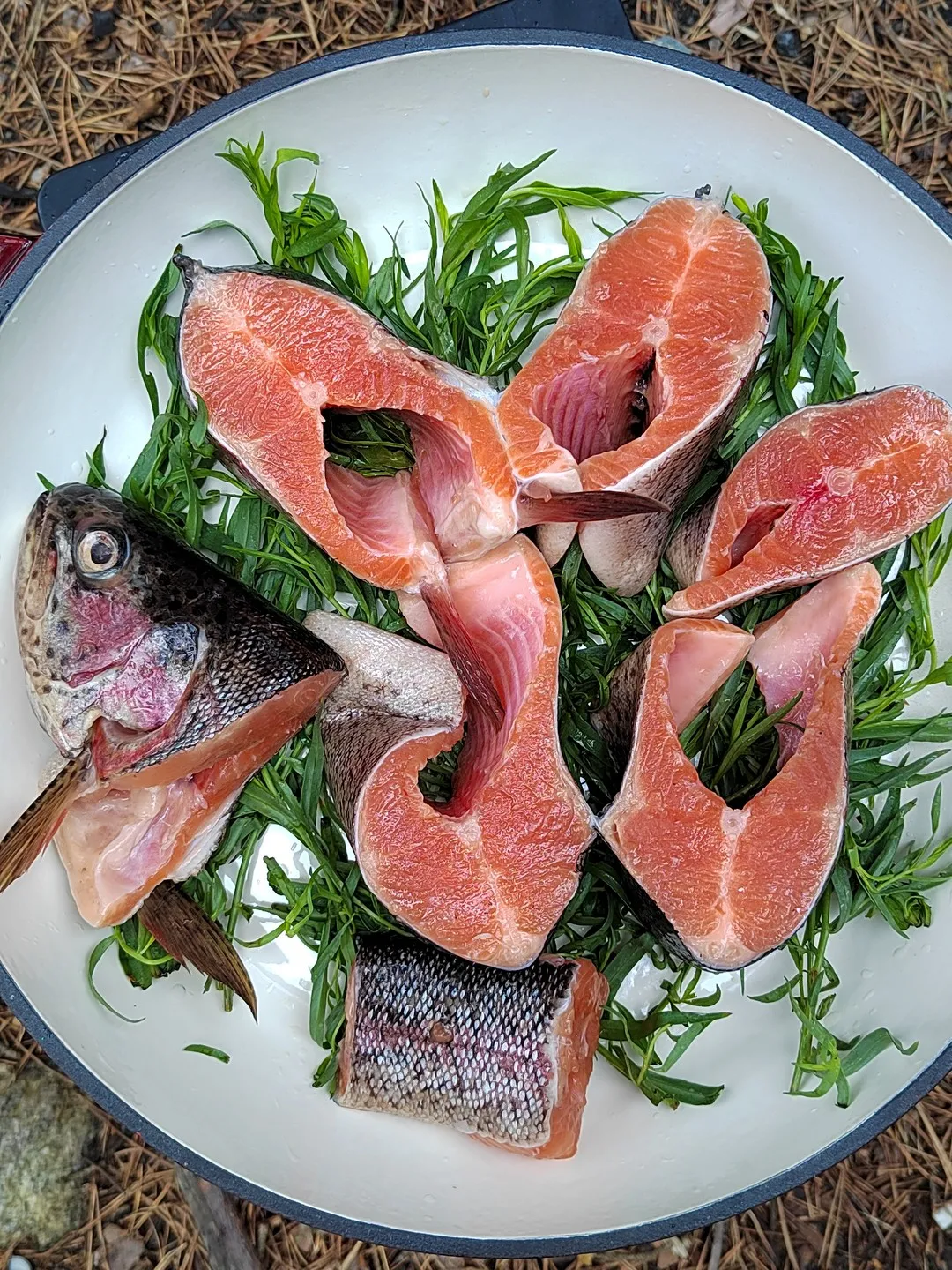 Второе изображение экскурсии