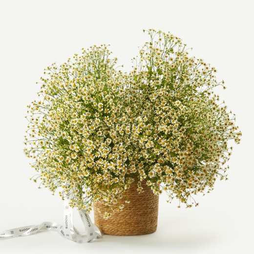 Корзина 064 Композиция Корзина 064 - в Москве за 32190 р.