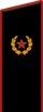Повседневный погон генерала армии (1974-1991)