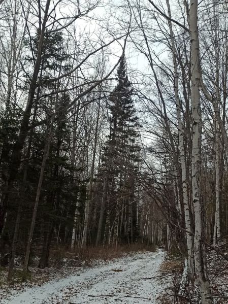 Файл:Дорога к месторождению.jpg