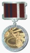 Знак «За участие в проведении чемпионата мира по футболу 2018 года в Волгоградской области»