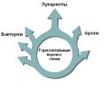 Миниатюра для версии от 16:58, 6 февраля 2024