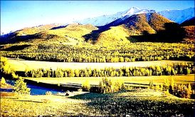 Курайская котловина в начале сентября. Видны отроги Северо-Чуйского хребта. Сентябрь 1998 г.