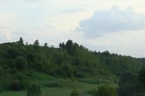 Степные участки по реке Сундовик (Оленина гора), Лысковский район