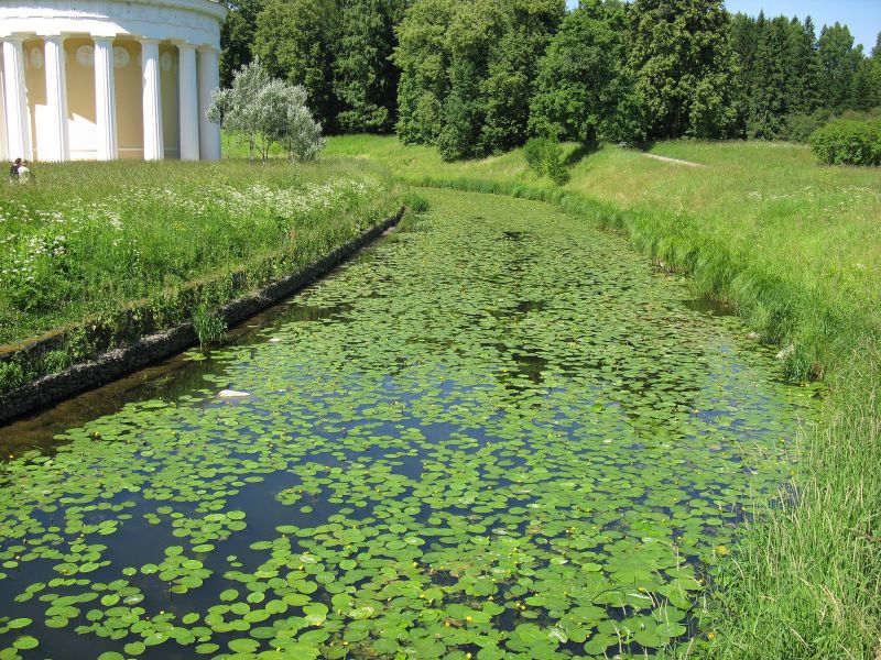 Файл:Павловск. Река Славянка - panoramio.jpg