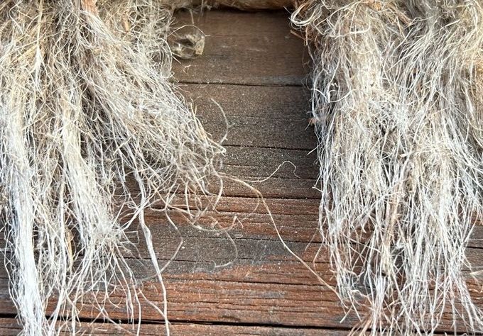 Файл:Пакля 1.jpg