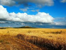 Зерновые поля близ Кокшетау