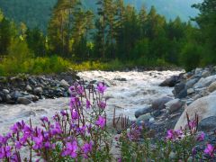 Река Баксан. Кабардино-Балкария