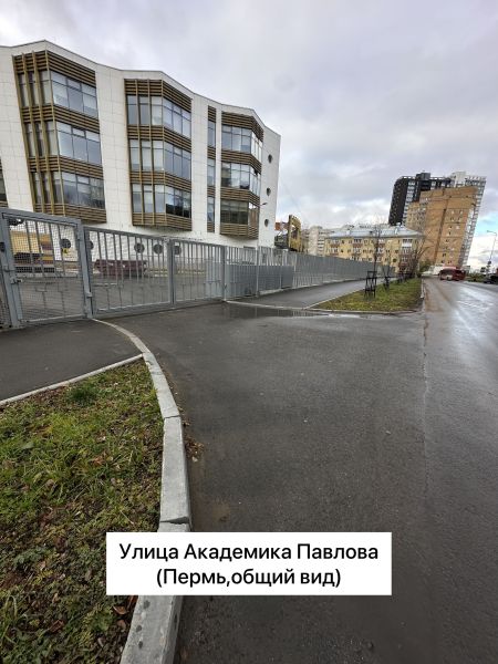 Файл:Улица Академика Павлова (Пермь, общий вид).jpg