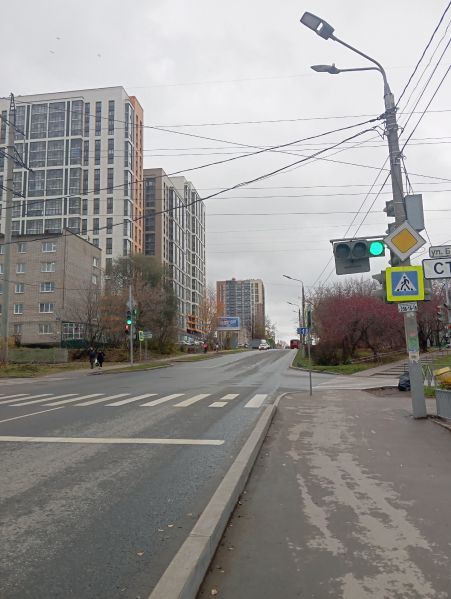 Файл:Улица Леонова (Пермь, общий вид).jpg