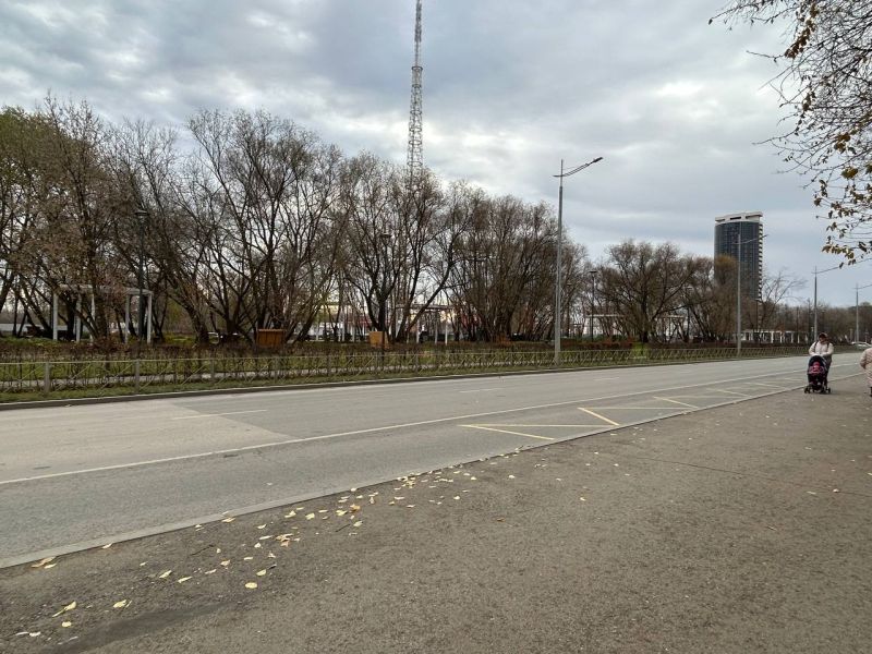 Файл:Улица Макаренко (Пермь, общий вид).jpg