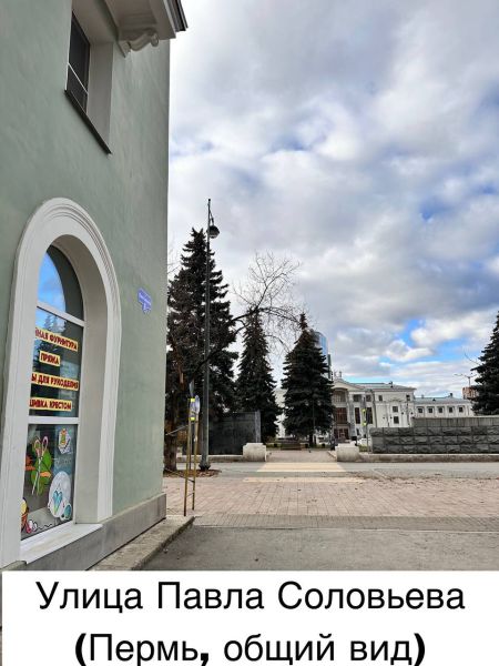 Файл:Улица Павла Соловьева, Пермь, Общий Вид.jpg