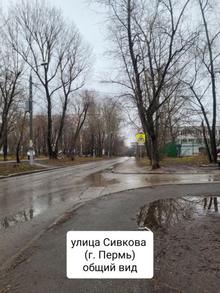 Файл:Улица Сивкова г. Пермь (общий вид).jpg