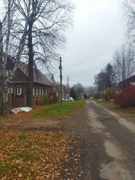 Файл:Улица Фурманова (Пермь).jpg