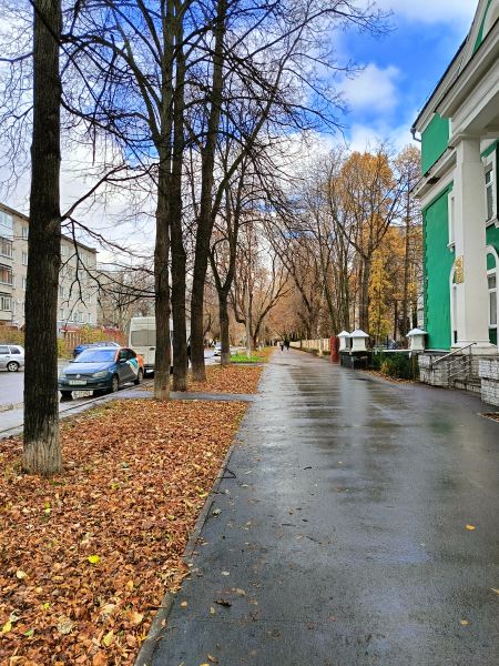 Файл:Улица Швецова (Пермь) общий вид.jpg