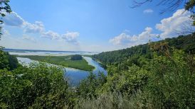 Урочище в Воронежской нагорной дубраве