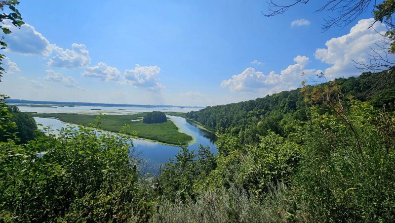 Файл:Урочище Белая Гора. Воронежская область.jpg