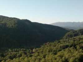 Лесистый хребет в Урус-Мартановском районе