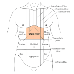 Эпигастральная область обозначена словом Epigastric