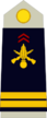 Army-FRA-OF-01a.svg