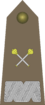 Army-POL-OF-10.svg