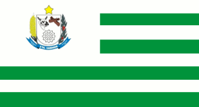 Bandeira santa carmem.png