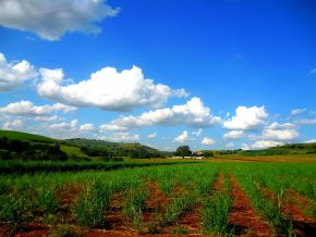 Barra do Jacaré Brasil.jpg