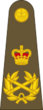 British Army OF-10.svg