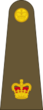 British Army OF-3.svg
