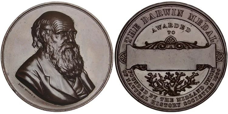 Файл:Charles Darwin bronze Award Medal.webp