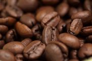 Coffee Beans.jpg