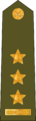 CzArmy 2011 OF5-Plukovnik shoulder.svg