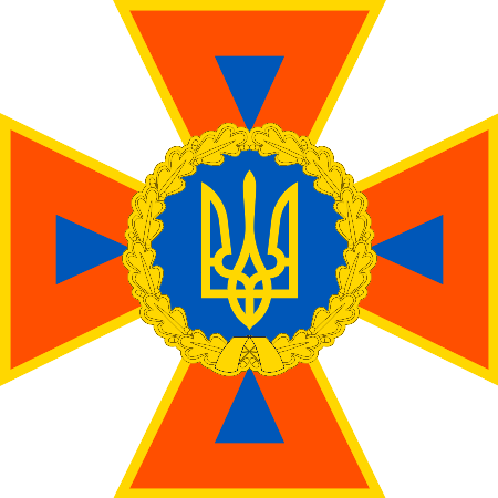 Файл:DSNS emblem 2016.svg