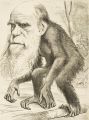 Почтенный орангутанг, карикатура на Чарлза Дарвина в образе обезьяны
