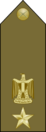 EgyptianArmyInsignia-LieutenantColonel.svg