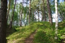 Ferzikovsky District, Kaluga Oblast, Russia - panoramio (234).jpg