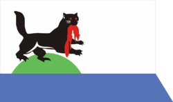 Flag of Irkutsk (Irkutsk oblast).svg