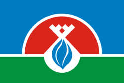 Flag of Nadymsky rayon (Yamalo-Nenetsky AO).svg