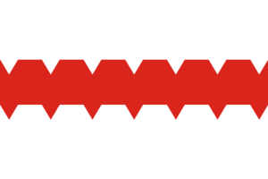 Flag of Omsk.svg