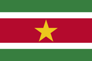 Flag of Suriname.svg