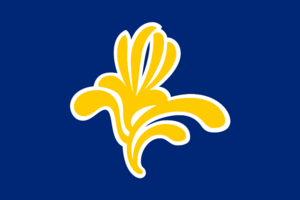 Flag of the Brussels-Capital Region (1991–2015).svg