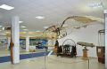 Аппарат под потолком, «Летатлин», в экспозиции Центрального музея Военно-воздушных сил РФ в Монино, Россия