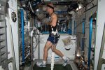 Итальянский астронавт Луки Пармитано тренируется на беговой дорожке COLBERT