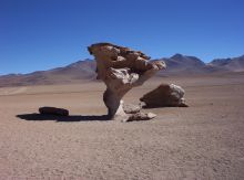 Скальные образования (грибовидные скалы; Árbol de Piedra — каменное дерево) в пустыне Силоли к юго-западу от Уюни недалеко от лагуны Колорада (Боливия).