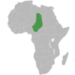 Kanem-Bornu.svg