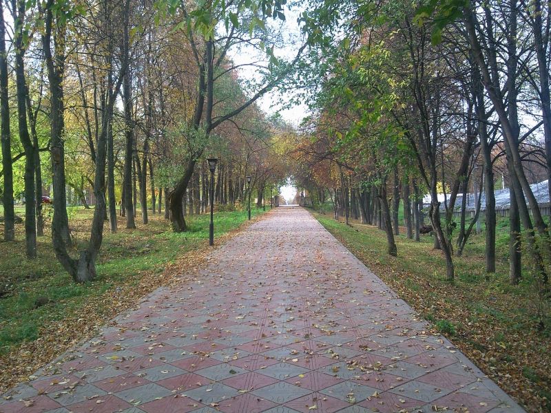 Файл:Leninogorsk Lesopark TH.jpg