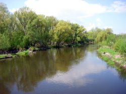 Река Нида около села Вислица