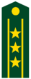 PLA Colonel.svg