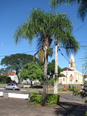 Praça da Matriz em Dois Irmãos 007.JPG